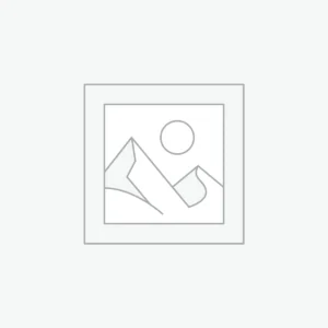 Explore the Future of Models